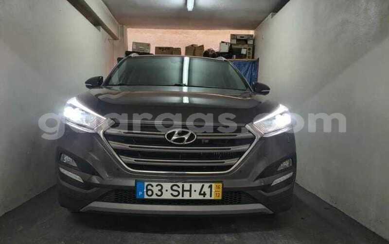 Big with watermark hyundai tucson kolda dabo 33964