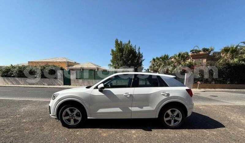 Big with watermark audi q2 louga dahra 33965