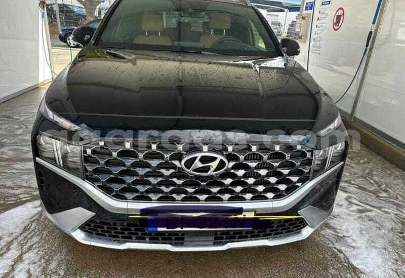 Big with watermark hyundai santa fe bagmati behind berlin 34006