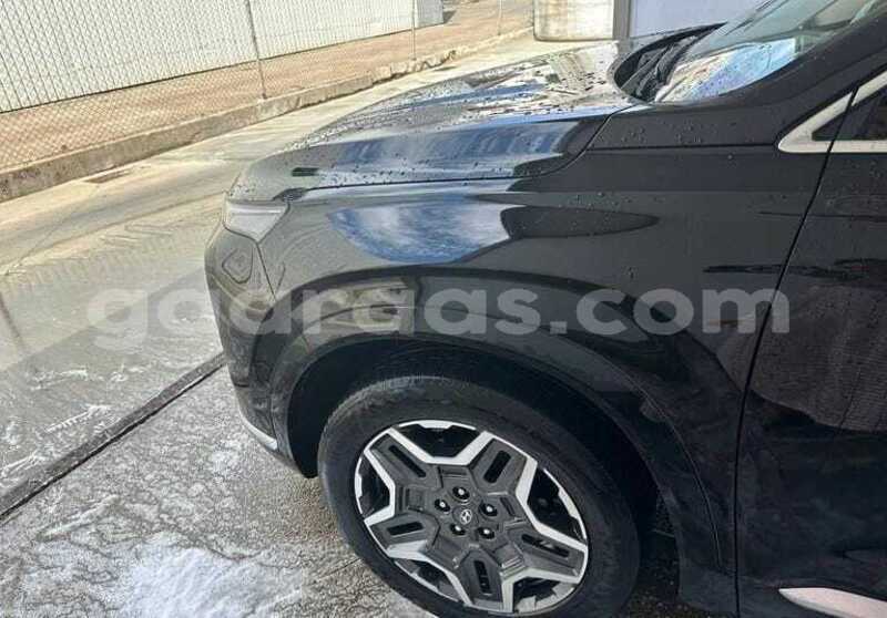 Big with watermark hyundai santa fe bagmati behind berlin 34006
