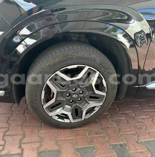 Big with watermark hyundai santa fe bagmati behind berlin 34006