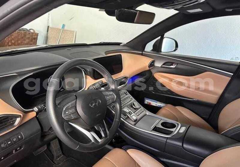 Big with watermark hyundai santa fe bagmati behind berlin 34006