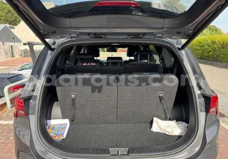 Big with watermark hyundai santa fe kolda dabo 34030
