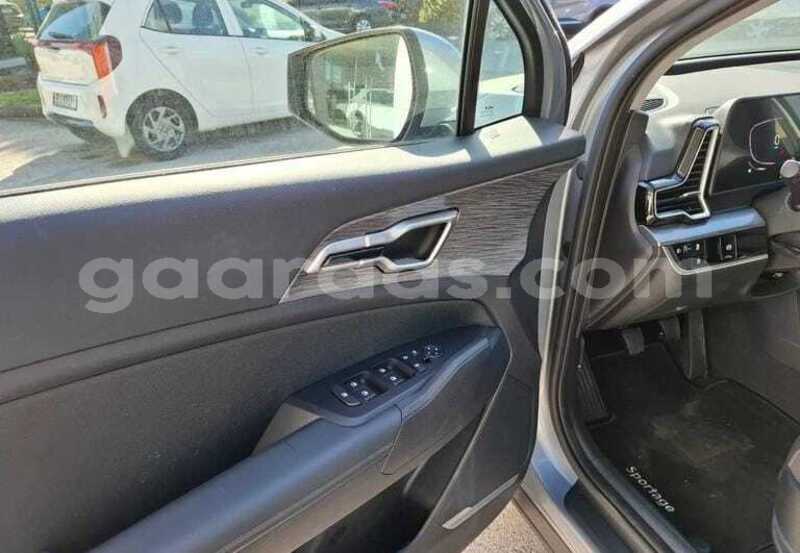 Big with watermark kia sportage kolda dabo 34032