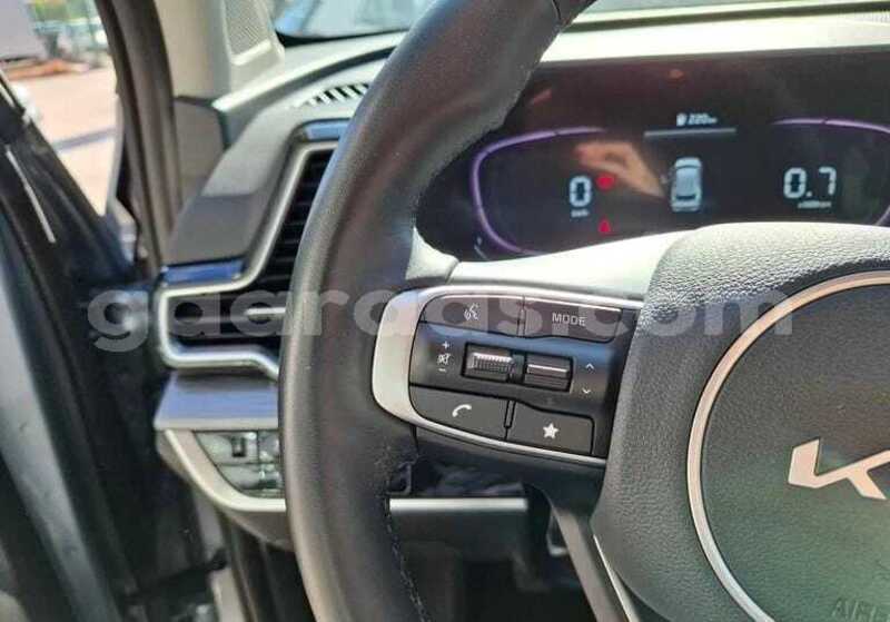 Big with watermark kia sportage kolda dabo 34032