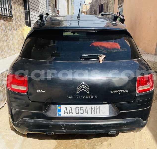 Big with watermark citroen c4 cactus dakar dakar 34034