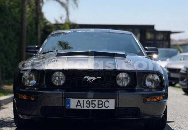 Big with watermark ford mustang bagmati behind berlin 34052
