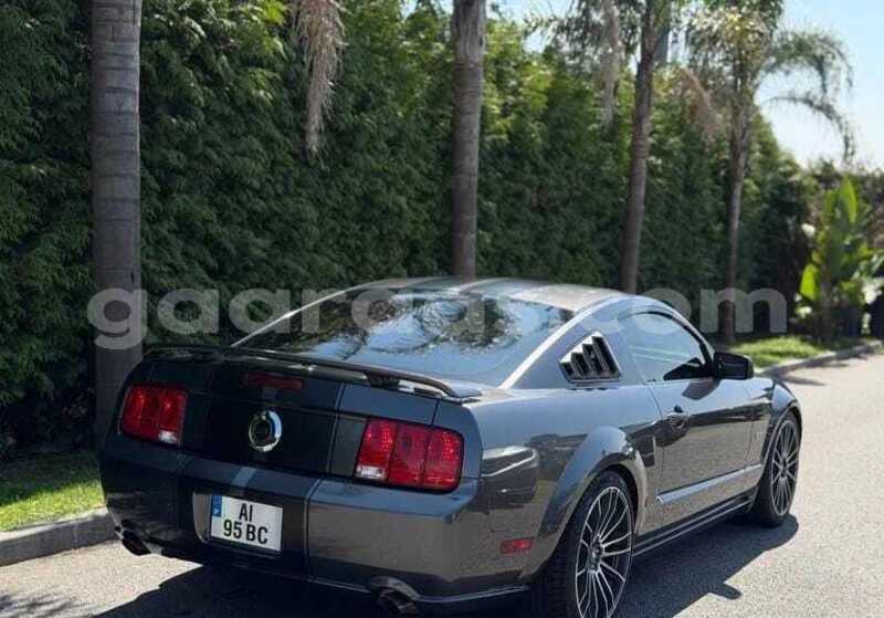 Big with watermark ford mustang bagmati behind berlin 34052