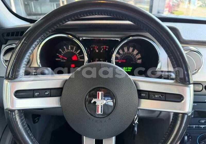 Big with watermark ford mustang bagmati behind berlin 34052