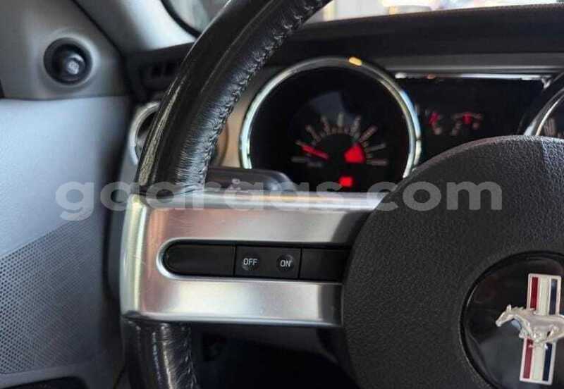 Big with watermark ford mustang bagmati behind berlin 34052