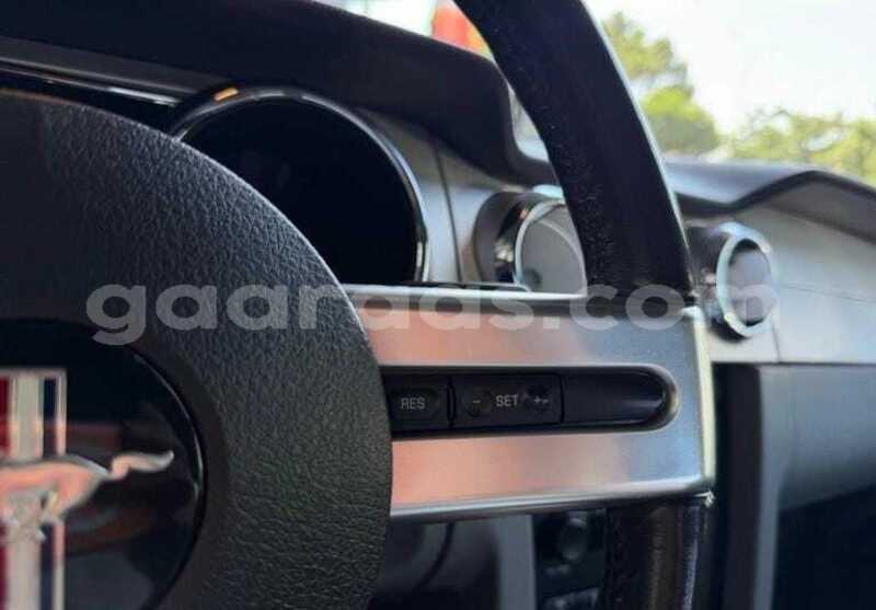Big with watermark ford mustang bagmati behind berlin 34052