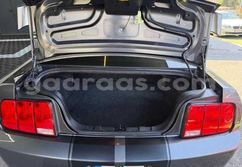 Big with watermark ford mustang bagmati behind berlin 34052