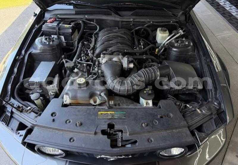 Big with watermark ford mustang bagmati behind berlin 34052