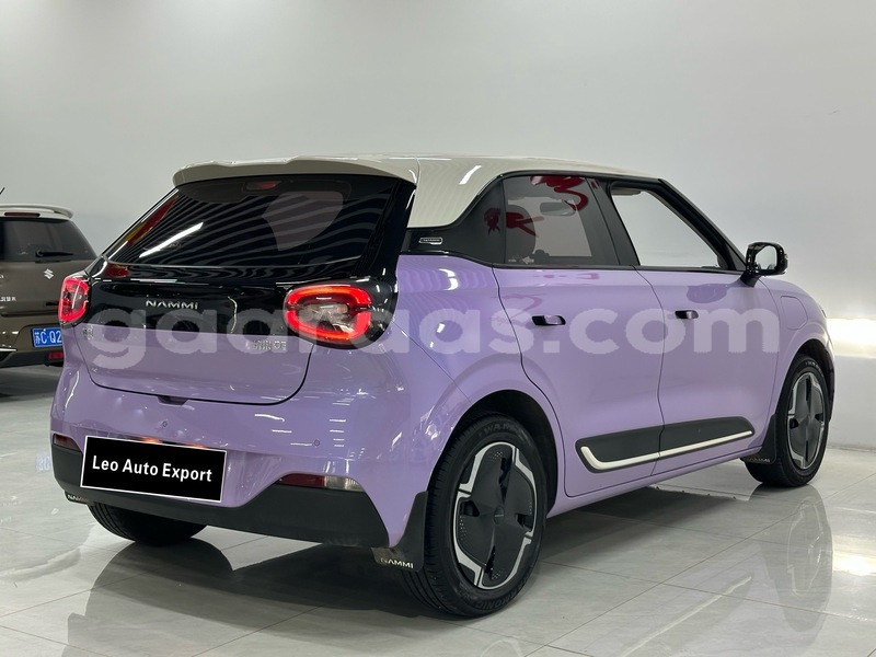 Big with watermark dongfeng nanobox dakar dakar 34058