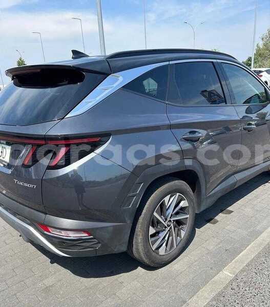 Big with watermark hyundai tucson kolda dabo 34071