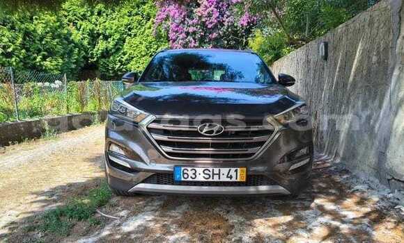 Acheter Occasion Voiture Hyundai Tucson Autre à Dabo, Kolda Acheter Occasion Voiture Hyundai Tucson Autre à Dabo, Kolda