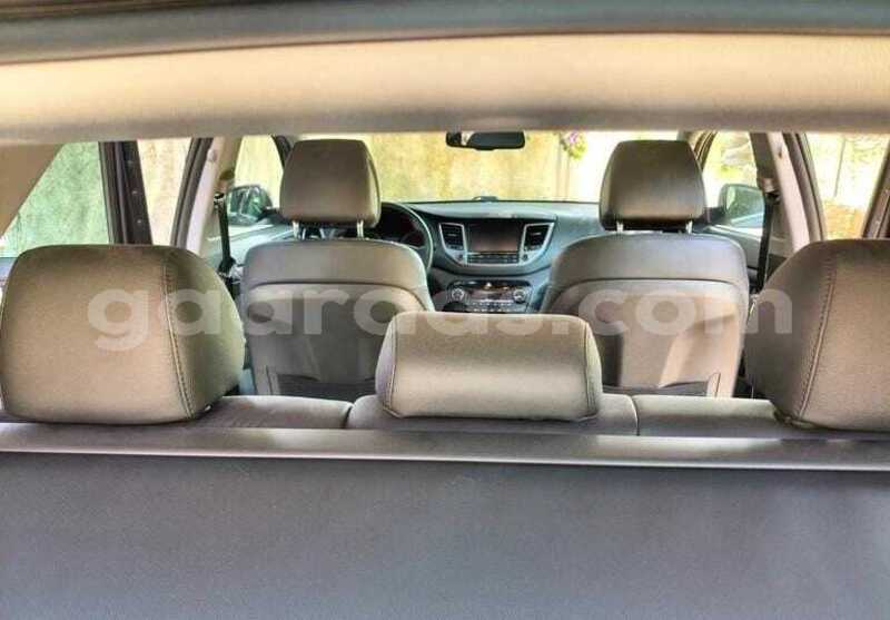 Big with watermark hyundai tucson kolda dabo 34072