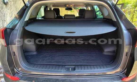 Acheter Occasion Voiture Hyundai Tucson Autre à Dabo, Kolda Acheter Occasion Voiture Hyundai Tucson Autre à Dabo, Kolda