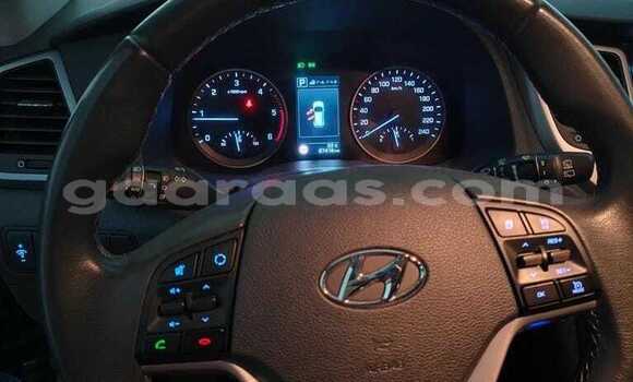 Acheter Occasion Voiture Hyundai Tucson Autre à Dabo, Kolda Acheter Occasion Voiture Hyundai Tucson Autre à Dabo, Kolda