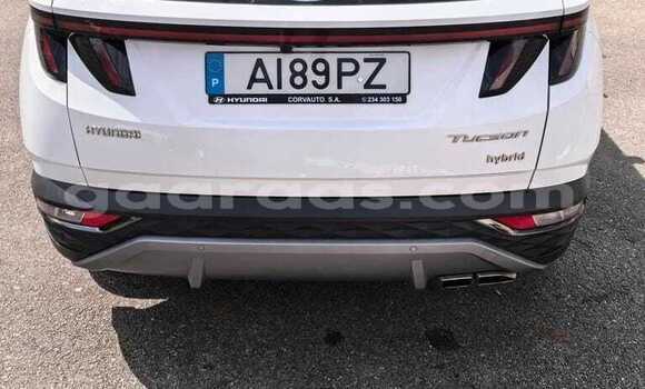 Acheter Occasion Voiture Hyundai Tucson Blanc à Dabo, Kolda Acheter Occasion Voiture Hyundai Tucson Blanc à Dabo, Kolda