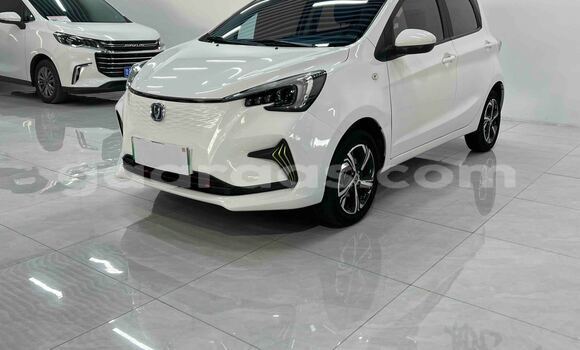 Acheter Occasion Voiture Changan Eado ev Blanc à Dakar, Dakar