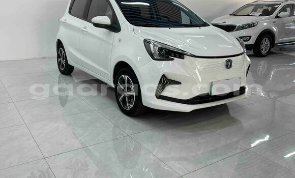 Acheter Occasion Voiture Changan Eado ev Blanc à Dakar, Dakar Acheter Occasion Voiture Changan Eado ev Blanc à Dakar, Dakar