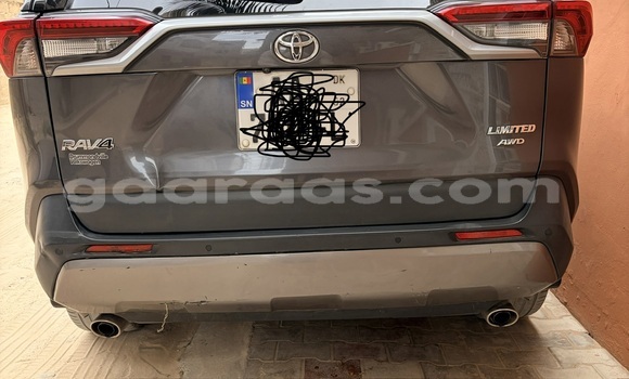 Dieundeu Occasion Toyota RAV4 Silver Auto in Dakar in Dakar Dieundeu Occasion Toyota RAV4 Silver Auto in Dakar in Dakar