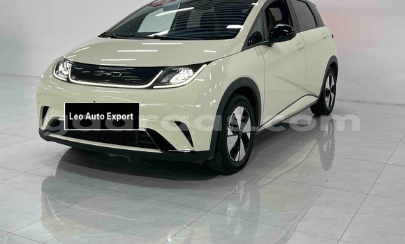 Acheter Occasion Voiture BYD Dolphin Blanc à Dakar, Dakar