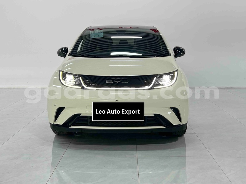 Big with watermark byd dolphin dakar dakar 34089