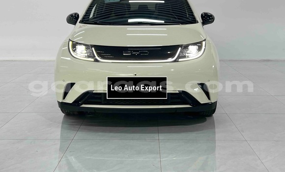Acheter Occasion Voiture BYD Dolphin Blanc à Dakar, Dakar Acheter Occasion Voiture BYD Dolphin Blanc à Dakar, Dakar
