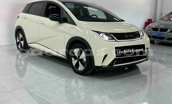 Acheter Occasion Voiture BYD Dolphin Blanc à Dakar, Dakar Acheter Occasion Voiture BYD Dolphin Blanc à Dakar, Dakar