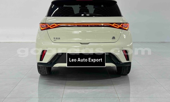 Acheter Occasion Voiture BYD Dolphin Blanc à Dakar, Dakar Acheter Occasion Voiture BYD Dolphin Blanc à Dakar, Dakar