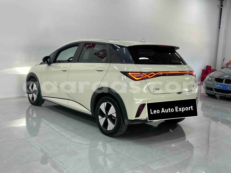 Big with watermark byd dolphin dakar dakar 34089
