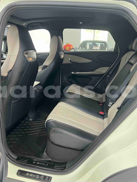 Big with watermark byd dolphin dakar dakar 34089