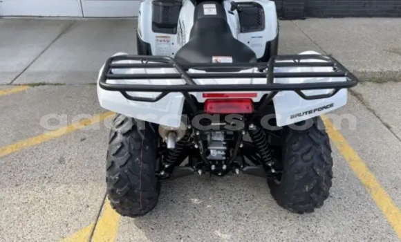 Buy New Kawasaki Brute Force White Bike in Dakar in Dakar Buy New Kawasaki Brute Force White Bike in Dakar in Dakar