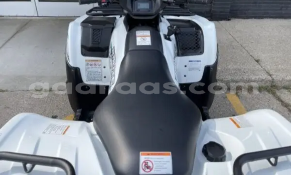 Buy New Kawasaki Brute Force White Bike in Dakar in Dakar Buy New Kawasaki Brute Force White Bike in Dakar in Dakar