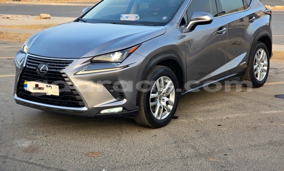 Acheter Occasion Voiture Lexus NX Gris à Dakar, Dakar Acheter Occasion Voiture Lexus NX Gris à Dakar, Dakar