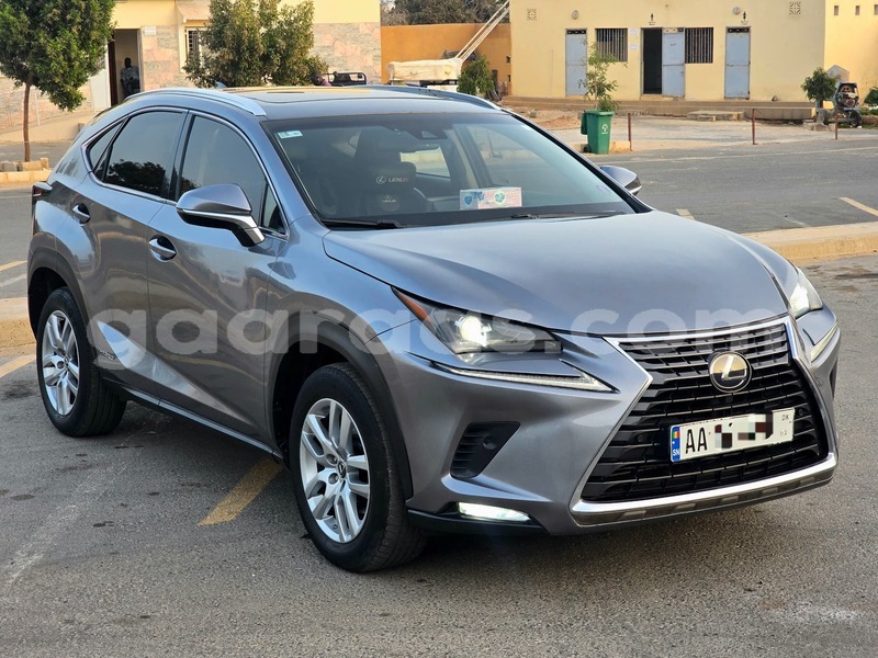 Big with watermark lexus nx dakar dakar 34092
