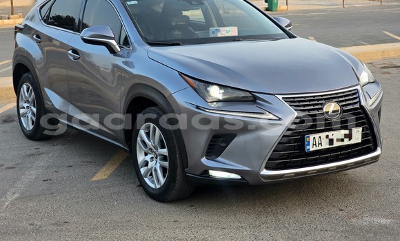 Acheter Occasion Voiture Lexus NX Gris à Dakar, Dakar Acheter Occasion Voiture Lexus NX Gris à Dakar, Dakar