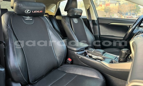 Acheter Occasion Voiture Lexus NX Gris à Dakar, Dakar Acheter Occasion Voiture Lexus NX Gris à Dakar, Dakar