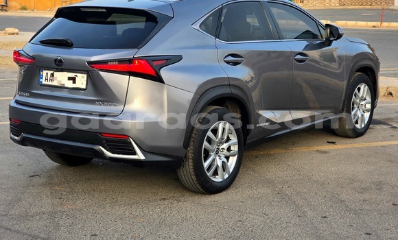 Acheter Occasion Voiture Lexus NX Gris à Dakar, Dakar Acheter Occasion Voiture Lexus NX Gris à Dakar, Dakar