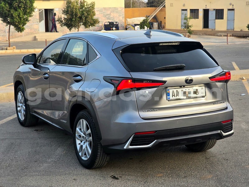 Big with watermark lexus nx dakar dakar 34092