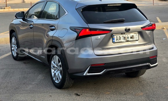 Acheter Occasion Voiture Lexus NX Gris à Dakar, Dakar Acheter Occasion Voiture Lexus NX Gris à Dakar, Dakar