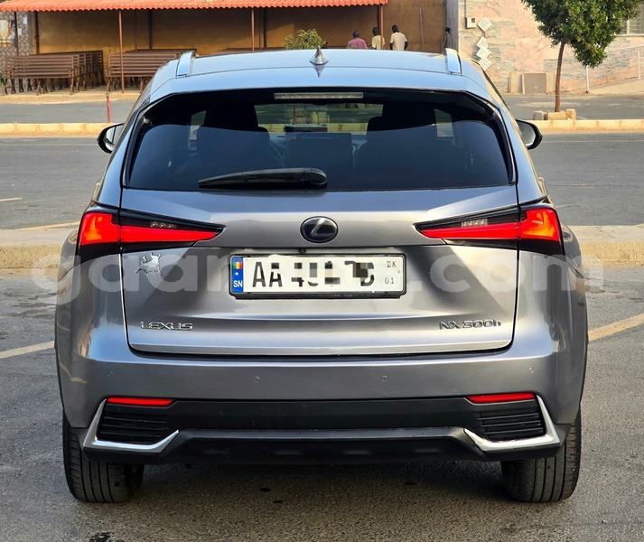 Big with watermark lexus nx dakar dakar 34092