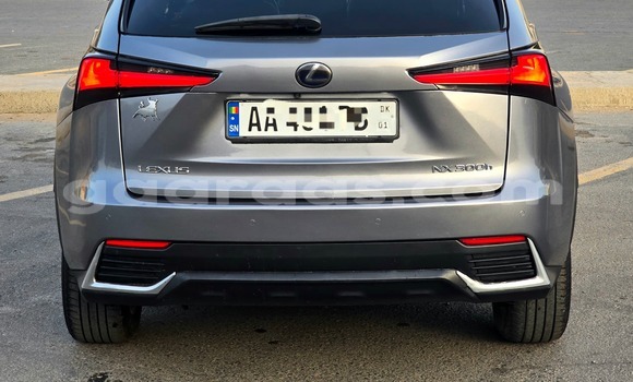 Acheter Occasion Voiture Lexus NX Gris à Dakar, Dakar Acheter Occasion Voiture Lexus NX Gris à Dakar, Dakar