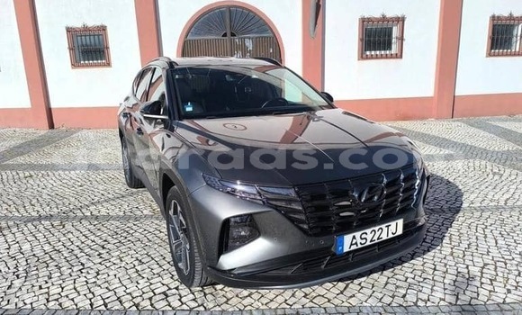 Acheter Occasion Voiture Hyundai Tucson Gris à Dabo, Kolda Acheter Occasion Voiture Hyundai Tucson Gris à Dabo, Kolda
