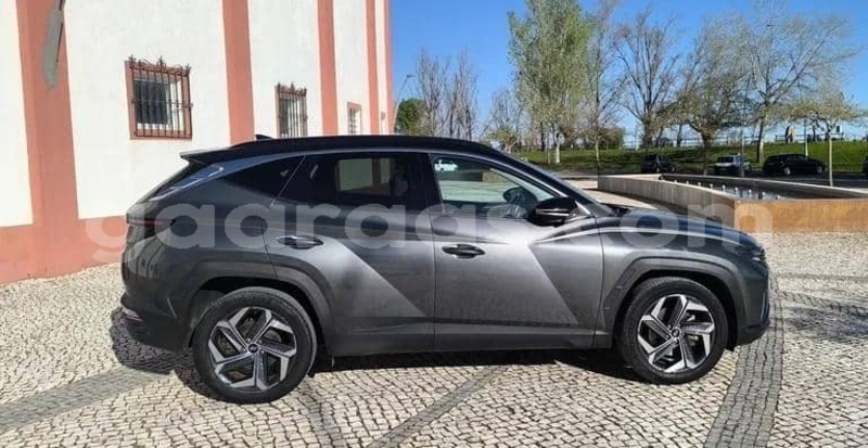 Big with watermark hyundai tucson kolda dabo 34097