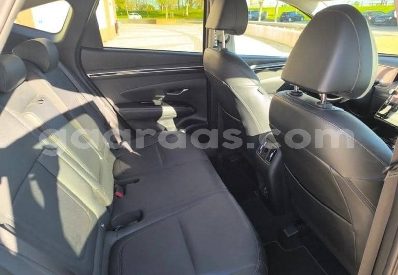 Big with watermark hyundai tucson kolda dabo 34097