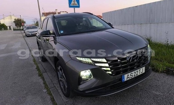 Acheter Occasion Voiture Hyundai Tucson Gris à Dabo, Kolda Acheter Occasion Voiture Hyundai Tucson Gris à Dabo, Kolda