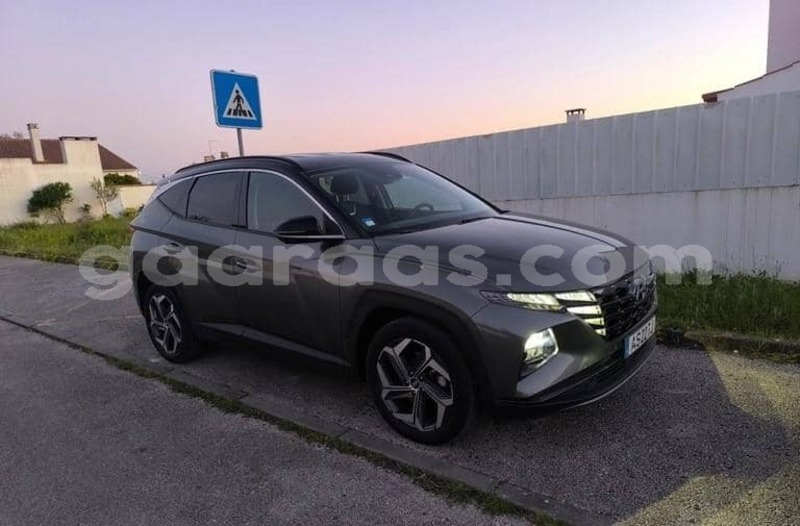 Big with watermark hyundai tucson kolda dabo 34097